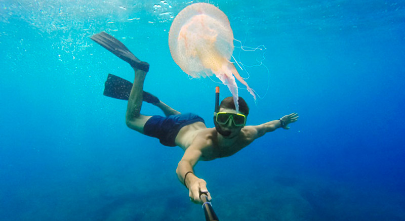 meilleurs-accessoires-snorkeling-gopro